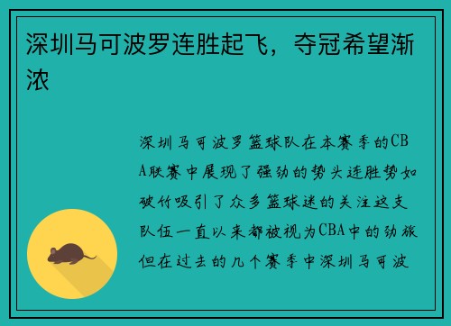 深圳马可波罗连胜起飞，夺冠希望渐浓
